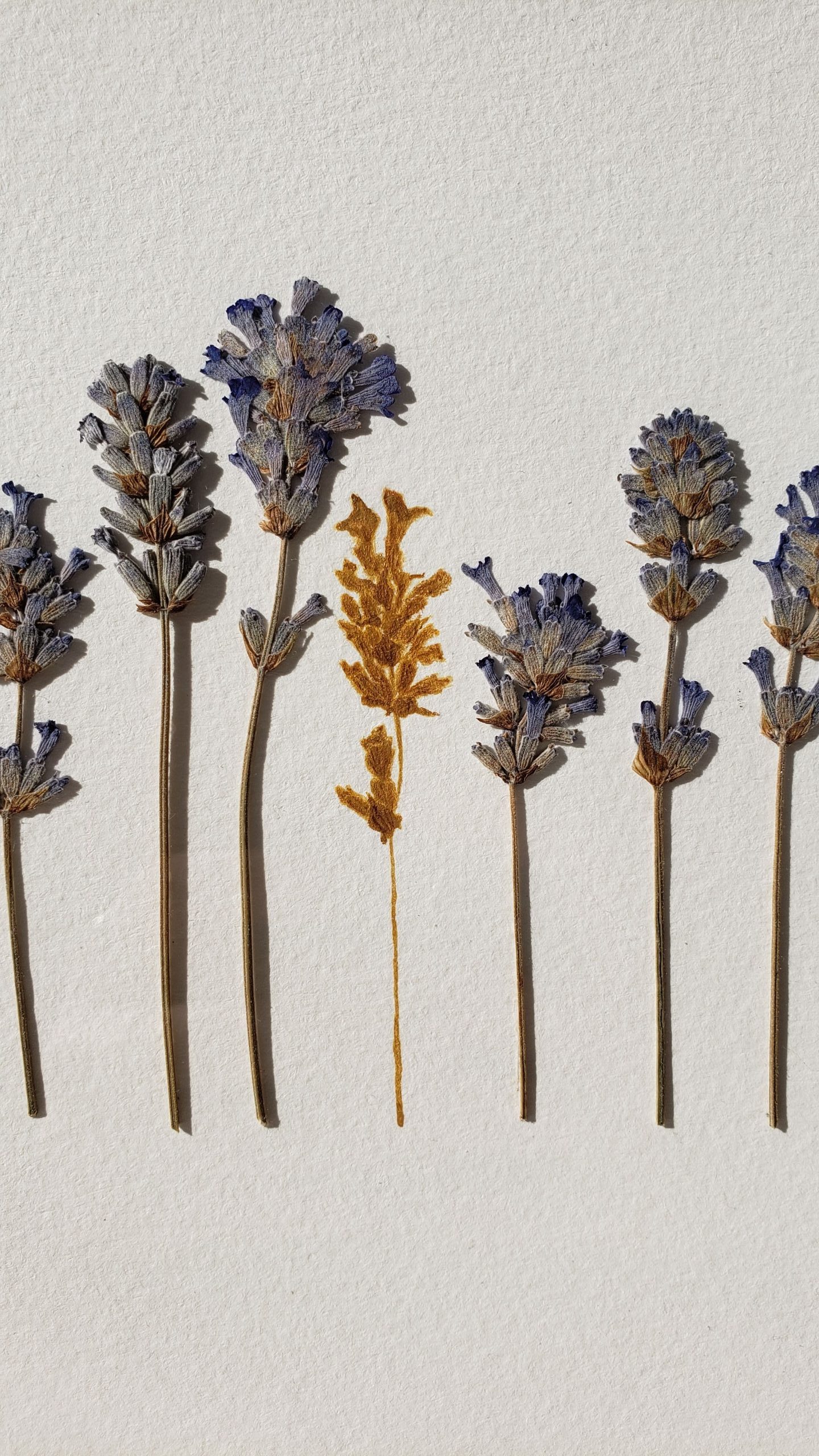 Tableau PROVENCE – Image 3