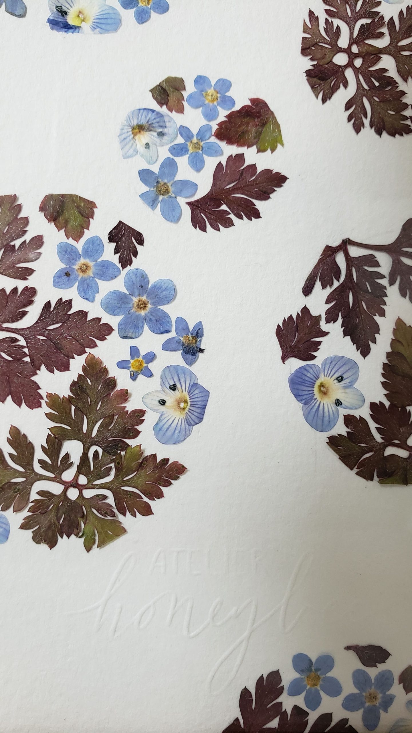 Tableau PÉTILLE – Image 2