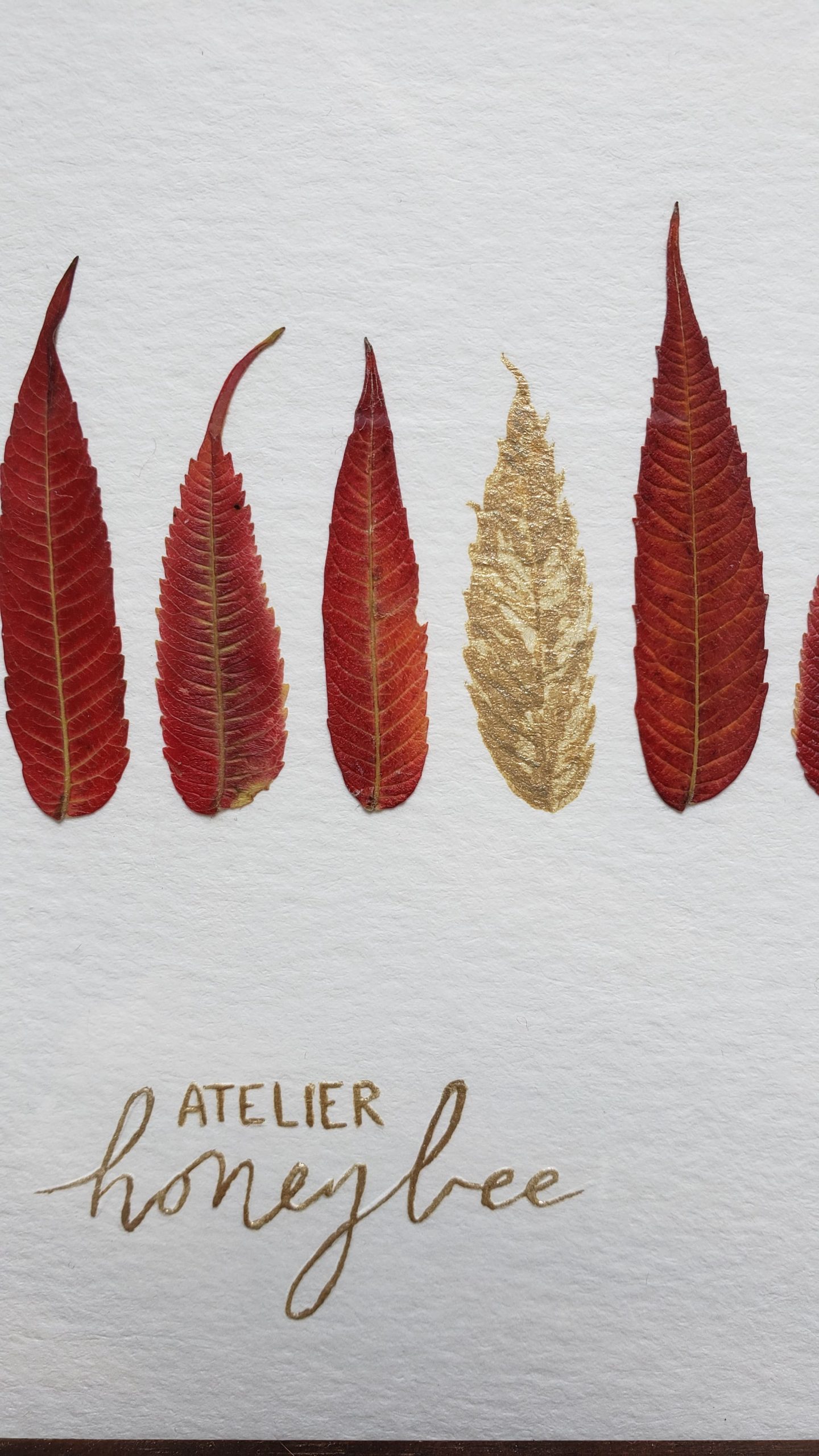 Tableau ACADIE – Image 3