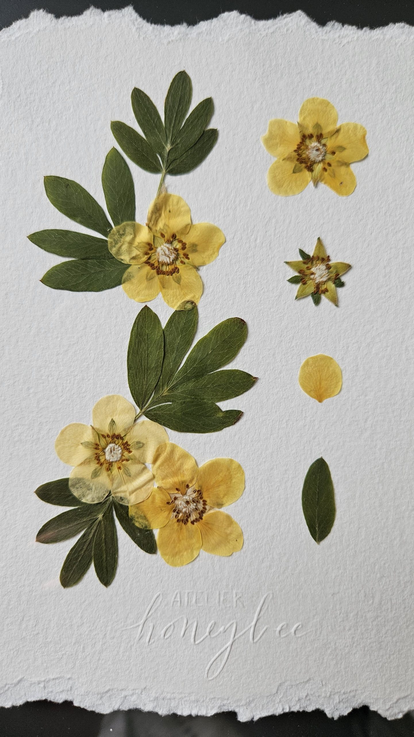 Tableau POTENTILLE LOVER – Image 4