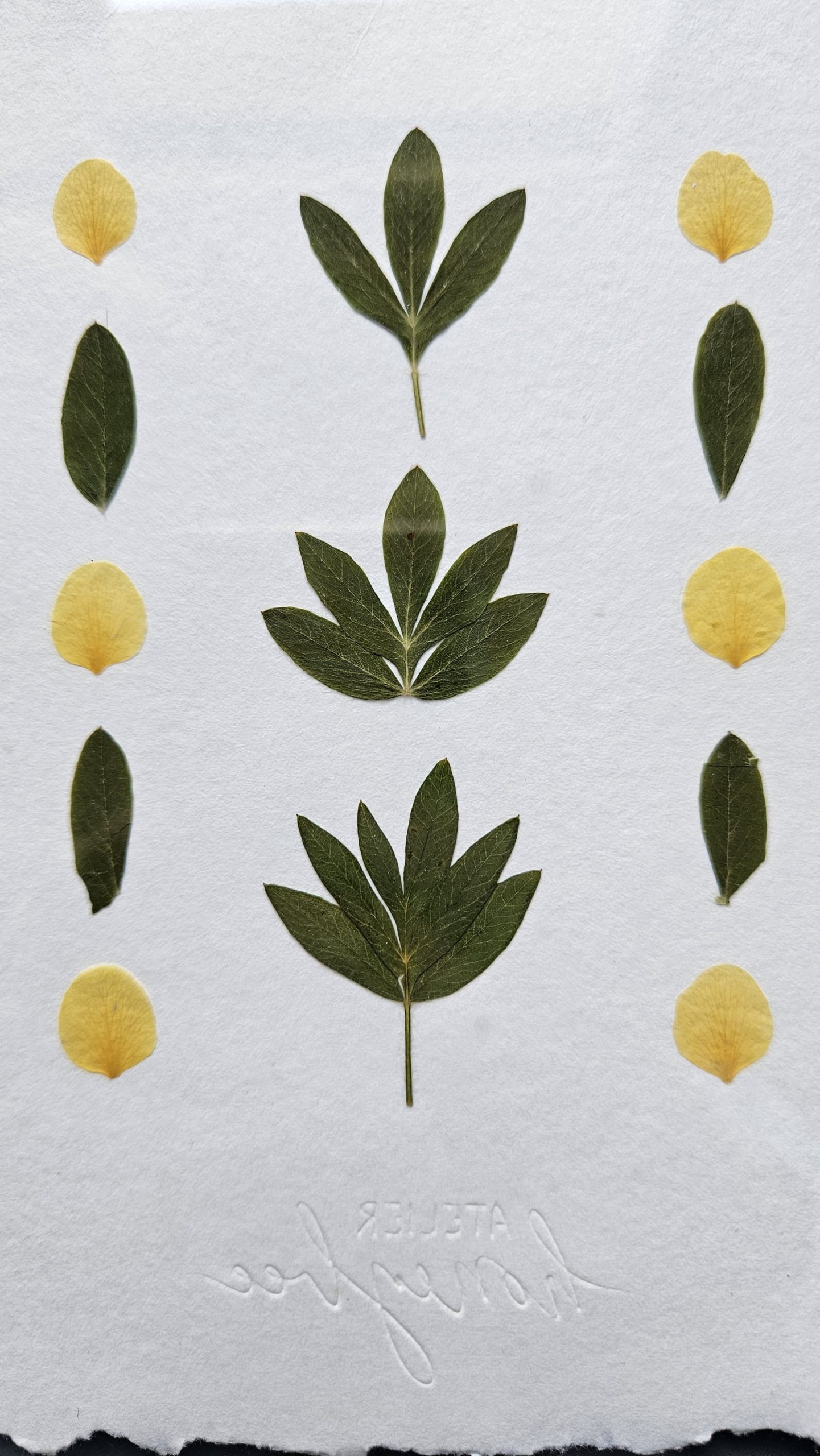 Tableau POTENTILLE LOVER – Image 3
