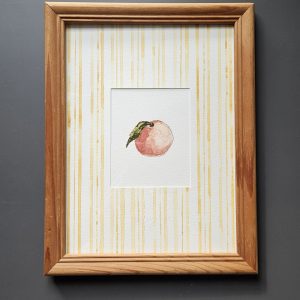 Aquarelle PEACHES