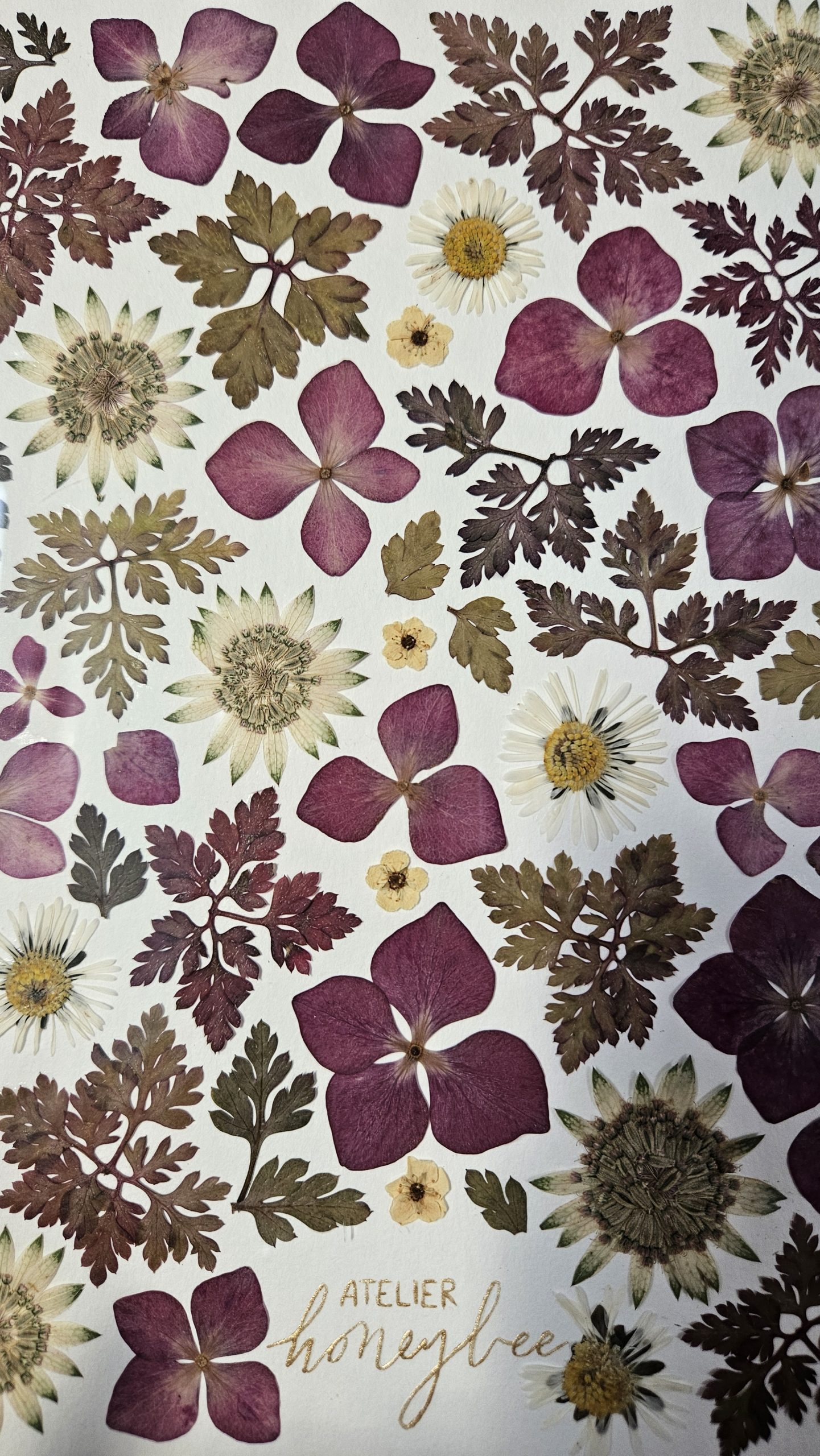 Tableau de fleurs séchées PRUNELLE – Image 3